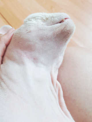 마뇨님이 올린 리뷰 사진 4