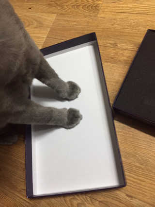 뚝쁘님이 올린 리뷰 사진 2