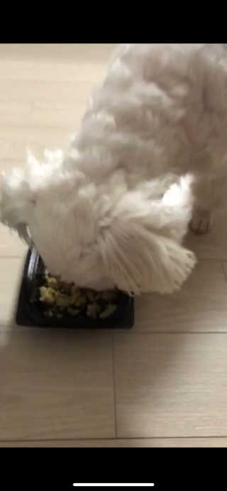 dmsrud님이 올린 리뷰 사진 3