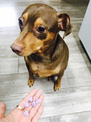 희진님이 올린 리뷰 사진 3