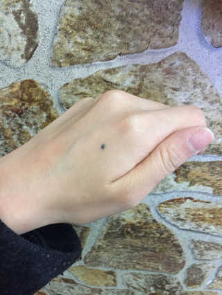 솜블리님이 올린 리뷰 사진 2