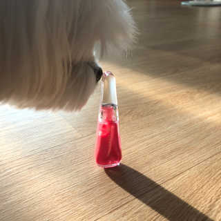ryoung님이 올린 리뷰 사진 1