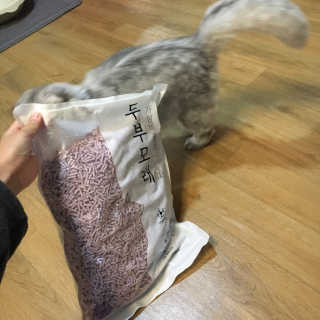 hyoju098님이 올린 리뷰 사진 1