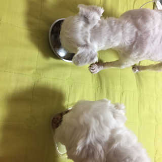 인애님이 올린 리뷰 사진 2