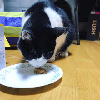 cola님이 올린 리뷰 사진 1