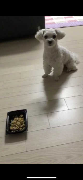 dmsrud님이 올린 리뷰 사진 4