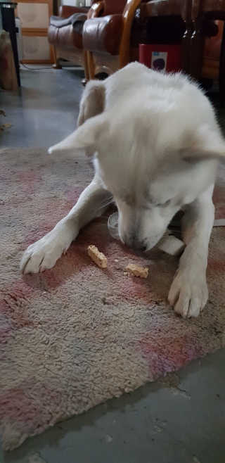 Jenny님이 올린 리뷰 사진 1