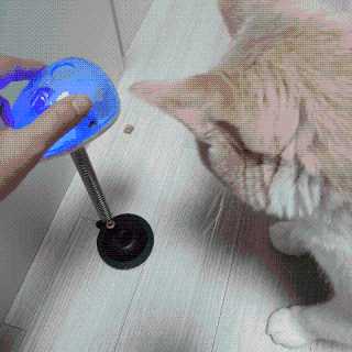 JENNY님이 올린 리뷰 사진 3