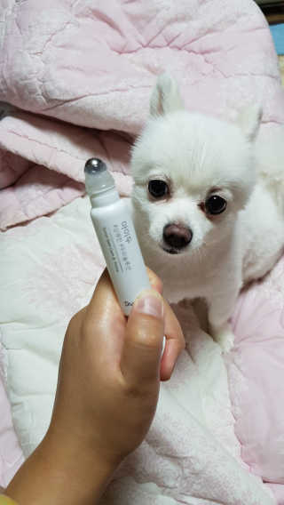 빛이짜응님이 올린 리뷰 사진 1