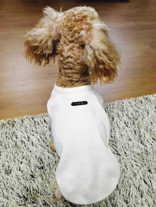 에드님이 올린 리뷰 사진 3
