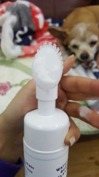 유진오님이 올린 리뷰 사진 4