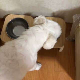 쥬루님이 올린 리뷰 사진 4