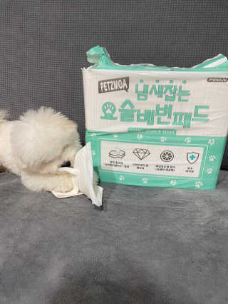 kmakmsss님이 올린 리뷰 사진 4