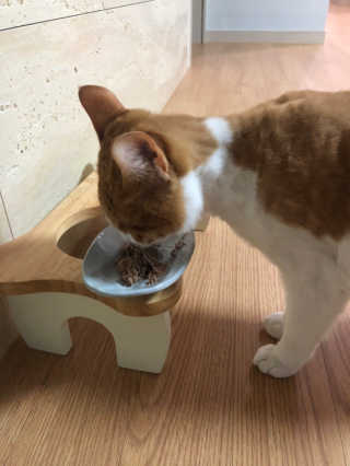 JihyeCheong님이 올린 리뷰 사진 3