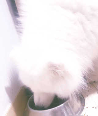 박선정님이 올린 리뷰 사진 2
