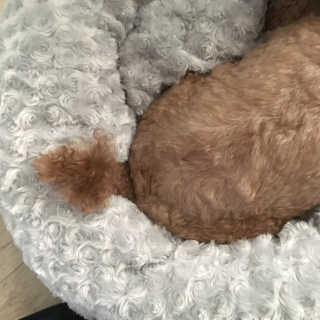 julaa님이 올린 리뷰 사진 2