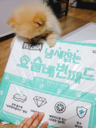 으콩님이 올린 리뷰 사진 2