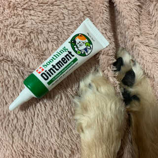 별해달님이 올린 리뷰 사진 3