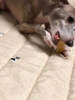 레오맘님이 올린 리뷰 사진 2