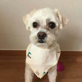 앵두언니님이 올린 리뷰 사진 3