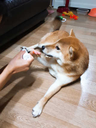 YJ님이 올린 리뷰 사진 3