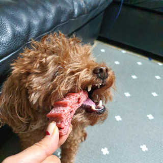 그녀의시선님이 올린 리뷰 사진 2