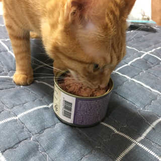 뽀잉잉님이 올린 리뷰 사진 4
