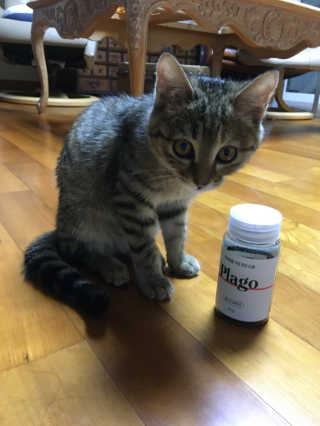 효티님이 올린 리뷰 사진 2