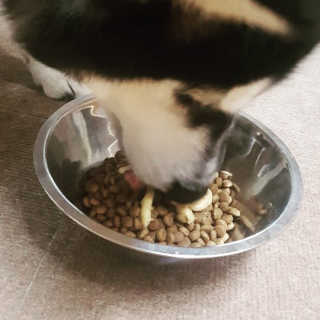 Soo님이 올린 리뷰 사진 1