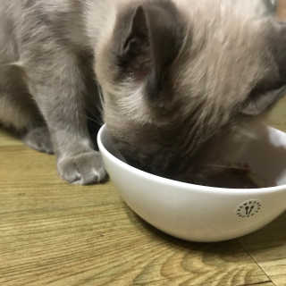 SeonAeAn님이 올린 리뷰 사진 2