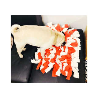 SolheeNamgoong님이 올린 리뷰 사진 2