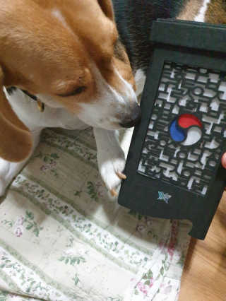 beaglelove님이 올린 리뷰 사진 1