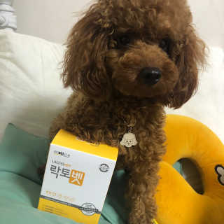 칸쵸님이 올린 리뷰 사진 3
