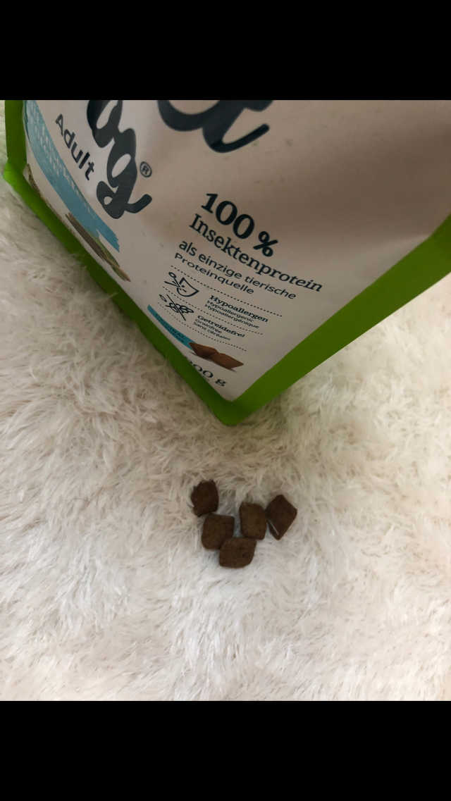 인섹트도그 하이포알러젠 리뷰 사진