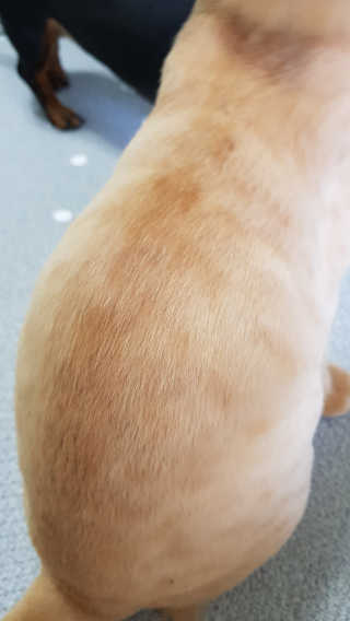 희님님이 올린 리뷰 사진 4