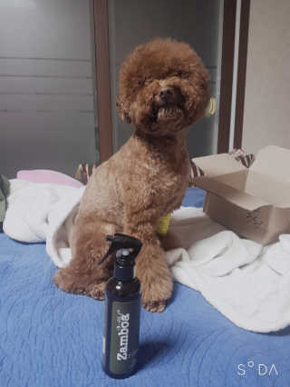 쪼꼬짱님이 올린 리뷰 사진 3