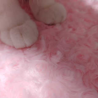 라온시연님이 올린 리뷰 사진 3