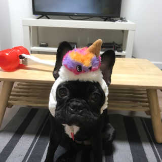 miseulsong님이 올린 리뷰 사진 3