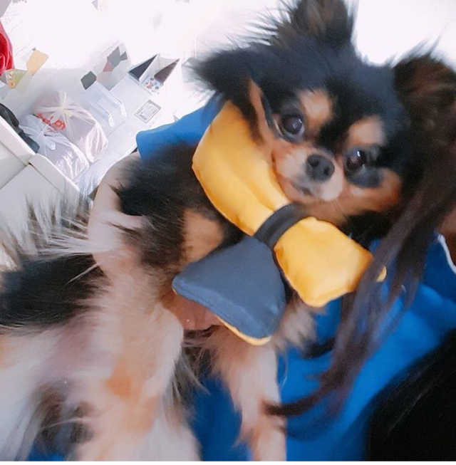 베이컨박스 리뷰 사진