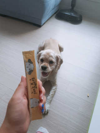 다온e맘님이 올린 리뷰 사진 2