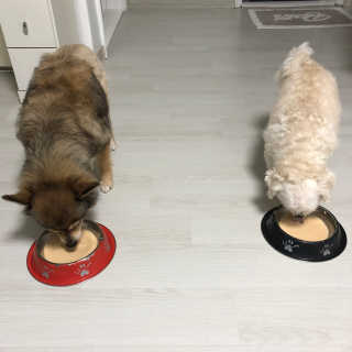 유경님이 올린 리뷰 사진 1