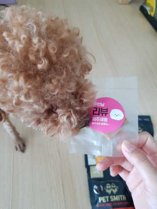 진리뷰님이 올린 리뷰 사진 3