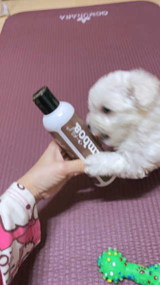 JENNY님이 올린 리뷰 사진 1
