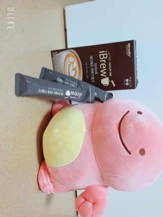 한국맥널티 아이브루 라떼 10T 3종 — 5점을 준 리뷰어가 2019년 10월 올린 사용 사진