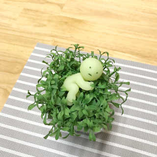 ok.dokey님이 올린 리뷰 사진 1