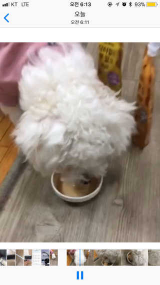 김준호님이 올린 리뷰 사진 3