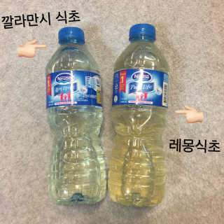 YoonJungLee님이 올린 리뷰 사진 4