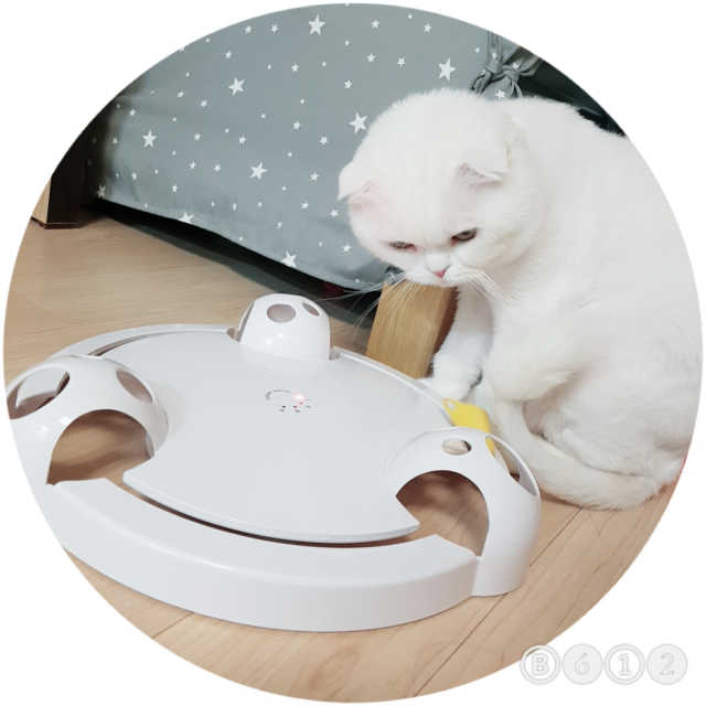 옥희독희 숨숨쥐 리뷰 사진