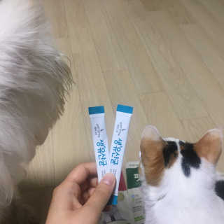 [빙그레] 에버그로 생유산균 1봉（10포입）+펫밀크2팩 — 5점을 준 리뷰어가 2019년 6월 올린 사용 사진