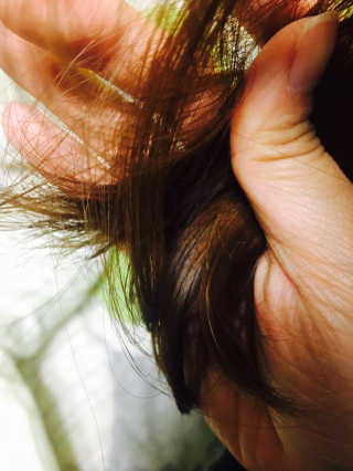 정다윤님이 올린 리뷰 사진 2